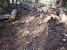 photo thumbnail #2
