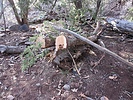 photo thumbnail #3