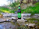 2020-01-30 :1: Limestone Trail #252 - Spur Cross :: kingsnake