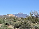 photo thumbnail #1