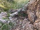 photo thumbnail #8