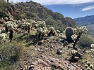 photo thumbnail #9