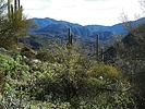 photo thumbnail #5