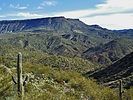 photo thumbnail #8
