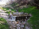 2020-01-30 :2: Limestone Trail #252 - Spur Cross :: LosDosSloFolks