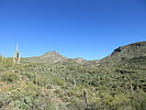 photo thumbnail #1