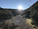 photo thumbnail #5