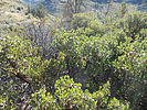 photo thumbnail #6