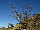photo thumbnail #15