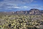 photo thumbnail #5