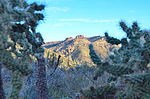 photo thumbnail #3