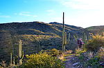 photo thumbnail #11
