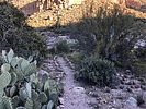 photo thumbnail #7