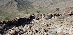 photo thumbnail #5