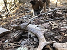 photo thumbnail #2