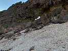 photo thumbnail #15