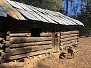 photo thumbnail #6