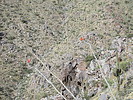 photo thumbnail #15