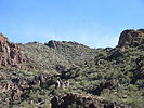 photo thumbnail #4