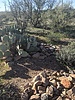 photo thumbnail #7