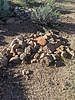 photo thumbnail #8