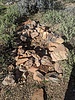 photo thumbnail #10