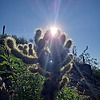 photo thumbnail #5