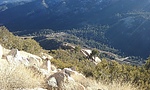photo thumbnail #2
