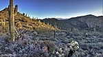 photo thumbnail #7
