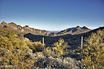 photo thumbnail #8