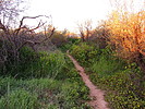 photo thumbnail #3