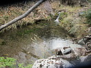 photo thumbnail #10