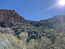 photo thumbnail #3
