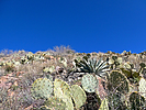 photo thumbnail #5