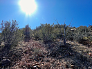 photo thumbnail #14