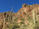 photo thumbnail #5
