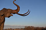 photo thumbnail #2