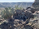 photo thumbnail #1