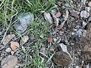 photo thumbnail #12