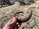 photo thumbnail #15