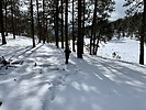 photo thumbnail #4