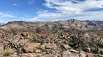 photo thumbnail #7