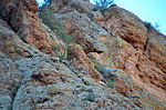 photo thumbnail #13
