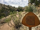 photo thumbnail #1