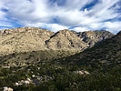 photo thumbnail #5