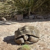 photo thumbnail #13