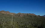 photo thumbnail #13