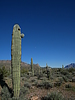 photo thumbnail #15