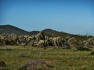 2020-02-12 :3: Tecolotes & Ruins :: LosDosSloFolks