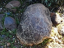 photo thumbnail #9
